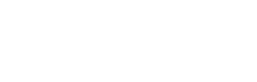 Solver99 Trading Platform
